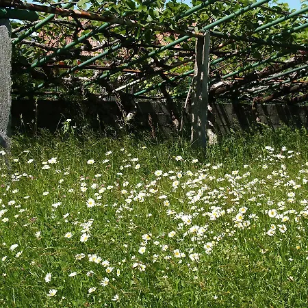 Il Mulino Bed & Breakfast Beura