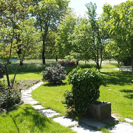 Il Mulino